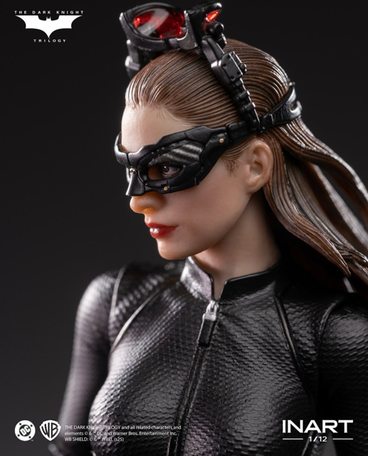 Catwoman Dark Knight  InArt Action Series