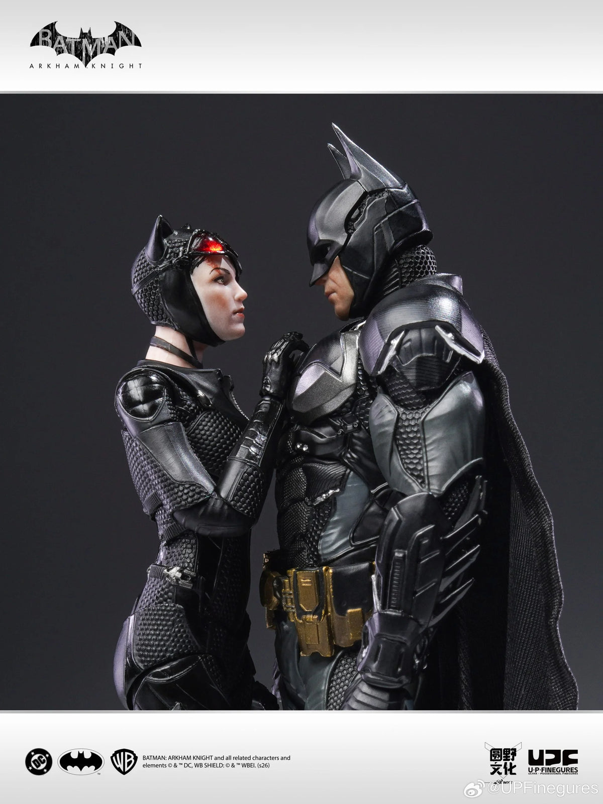 Catwoman Arkham Knight U-P-Finegures (LPZZ)
