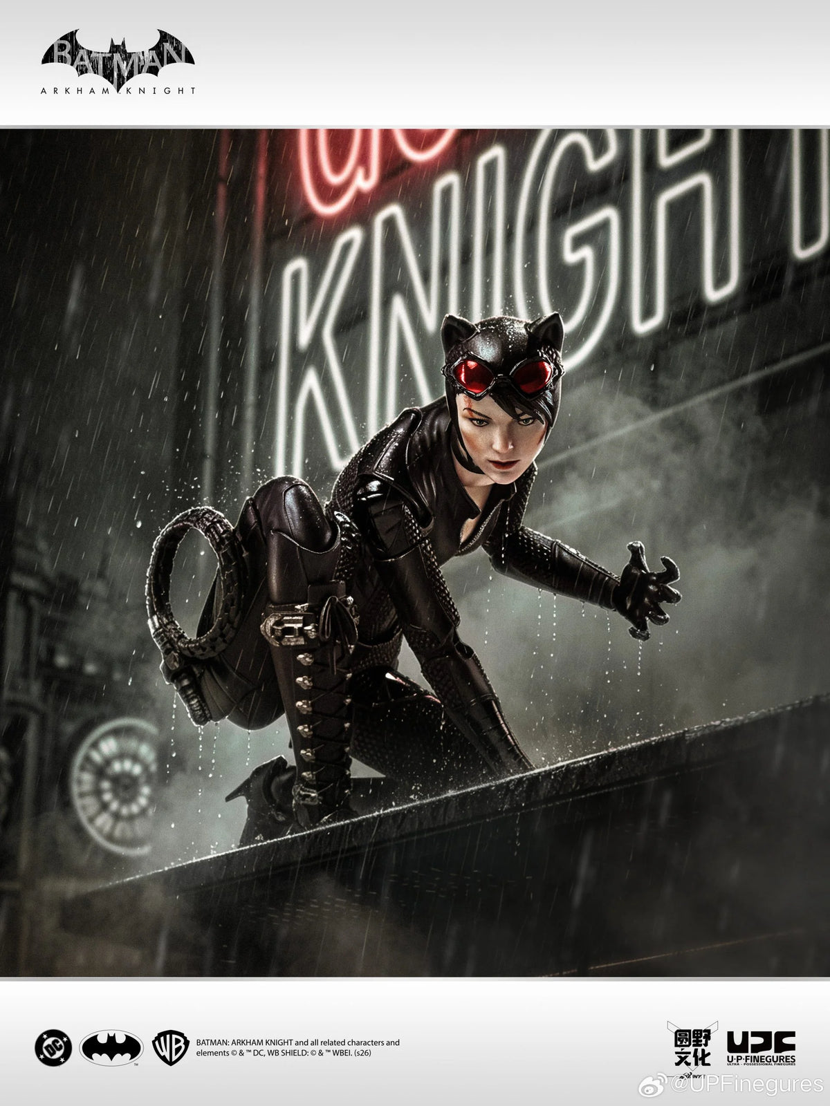 Catwoman Arkham Knight U-P-Finegures (LPZZ)