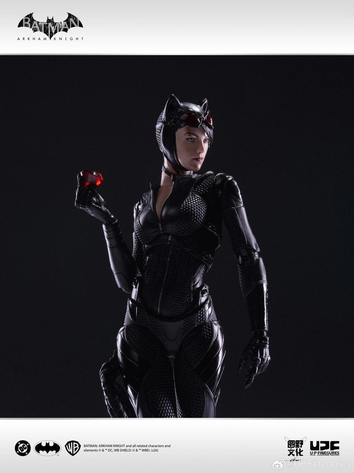 Catwoman Arkham Knight U-P-Finegures (LPZZ)
