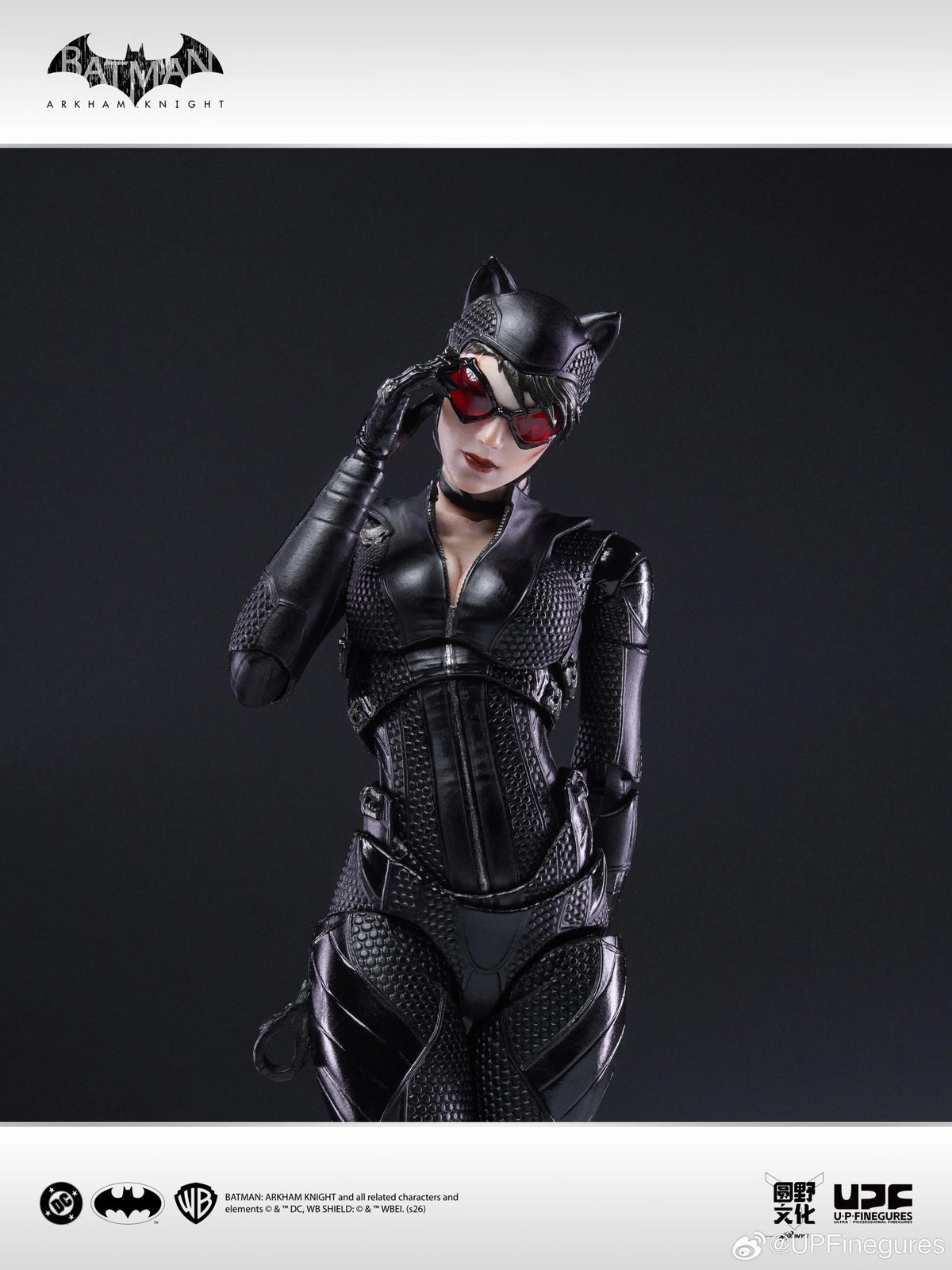 Catwoman Arkham Knight U-P-Finegures (LPZZ)