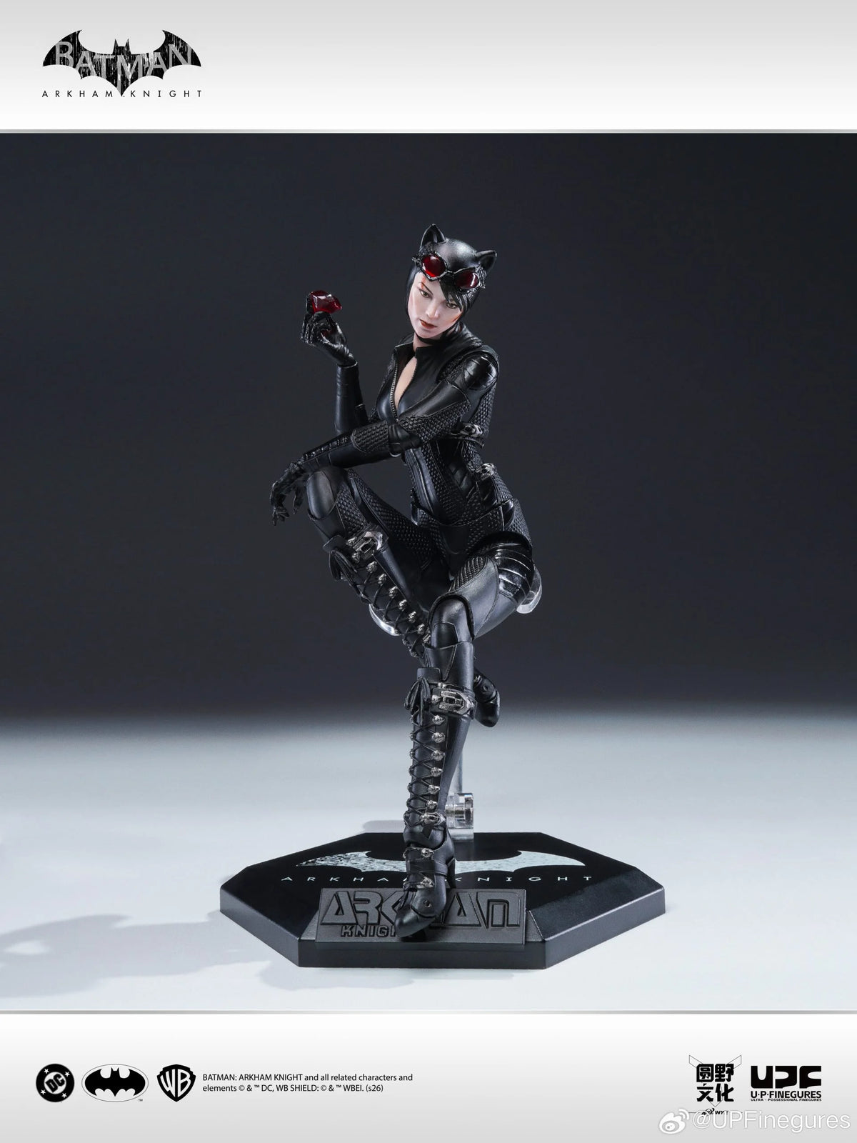 Catwoman Arkham Knight U-P-Finegures (LPZZ)