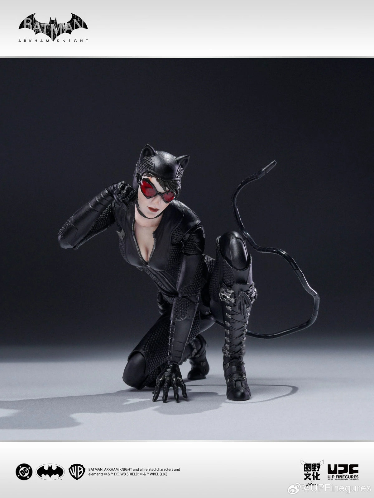Catwoman Arkham Knight U-P-Finegures (LPZZ)